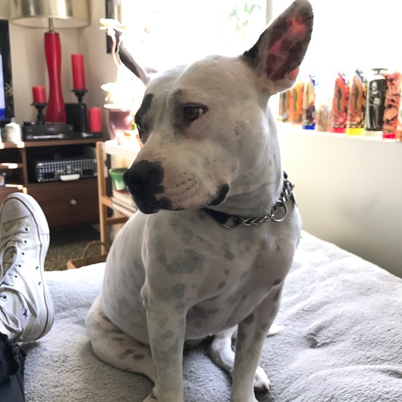 Meet your seller!! - Picture 3 of 4